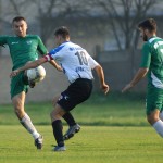 loznica 17 savic