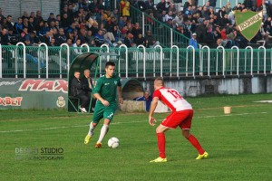 todorovic_andric-loznica-jedinstvo