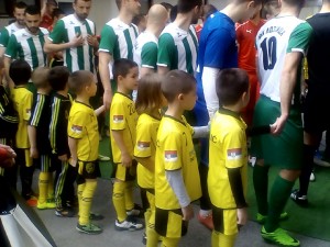 napredak loznica krusevac 2016